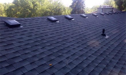 Keeping Roofs In Top Shape There are ways to protect roofs from algae stains and damage.