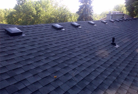 Keeping Roofs In Top Shape There are ways to protect roofs from algae stains and damage.